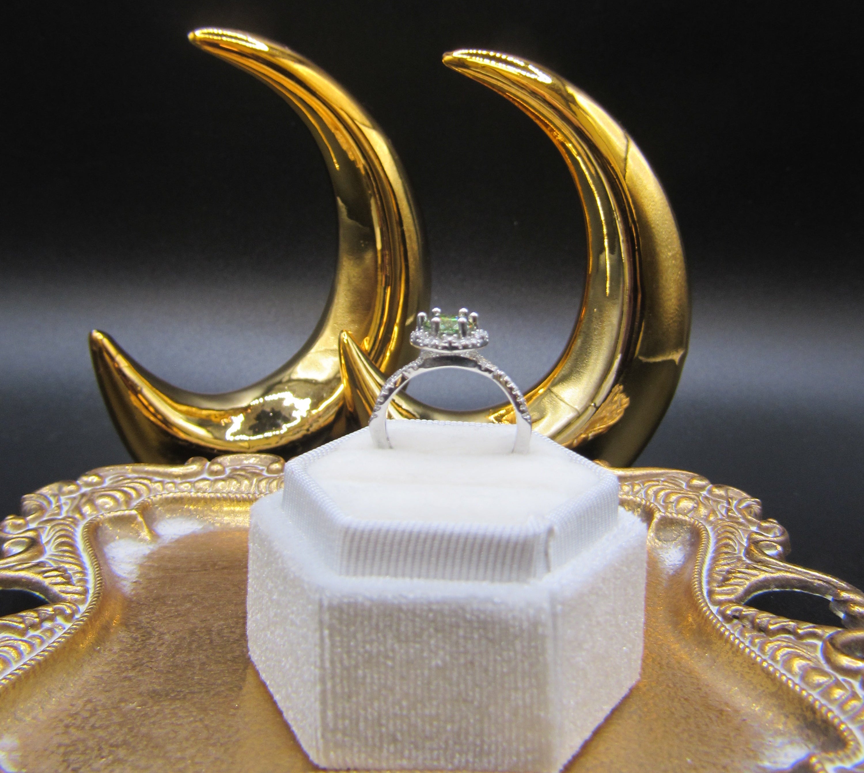Moonlit Flex Series — Where the Moon Meets the Garden