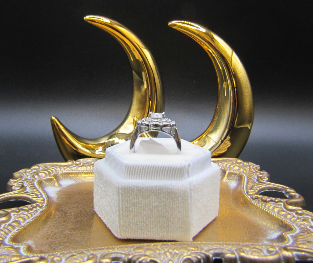 Moonlit Flex Series – Bloom Under the Moonlight